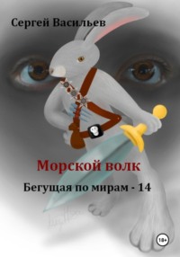 Морской волк. Бегущая по мирам – 14 - Сергей Васильев