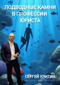 Подводные камни в профессии юриста, аудиокнига Сергея Улитина. ISDN70757380