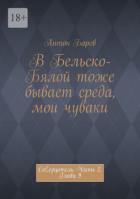 В Бельско-Бялой тоже бывает среда, мои чуваки. СоZерцатель. Часть 2. Глава 9, аудиокнига Антона Барева. ISDN70758016