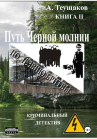 Путь Черной молнии 2 - Александр Теущаков