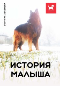 История Малыша, audiobook Алеси Александровны Малишевской. ISDN70766644