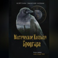 Магическое кольцо Бродгара «Наследство». Книга 1 - Кейтлин Эмилия Новак