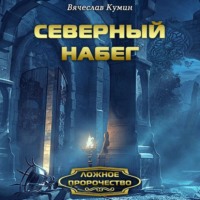 Северный набег - Вячеслав Кумин