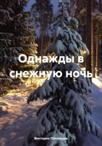 Однажды в снежную ночь - Виктория Плеханова