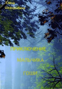 Приключение мальчика Гоши, audiobook Елены Шкандыбиной. ISDN70772674