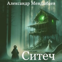 Ситеч, аудиокнига Александра Олеговича Мендыбаева. ISDN70779361