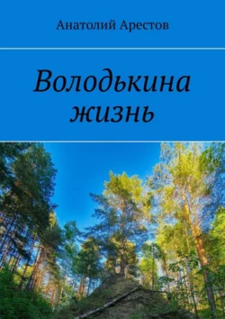 Володькина жизнь, аудиокнига Анатолия Арестова. ISDN70780936