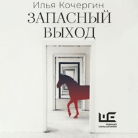 Запасный выход, audiobook Ильи Кочергина. ISDN70796407