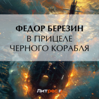В прицеле черного корабля, audiobook Федора Березина. ISDN70797208