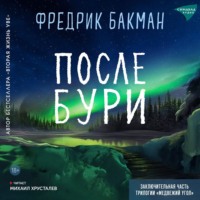 После бури - Фредрик Бакман