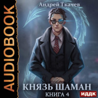 Князь шаман. Книга 4, audiobook Андрея Ткачева. ISDN70810186