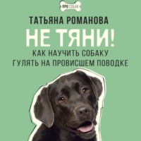 Не тяни! Как научить собаку гулять на провисшем поводке - Татьяна Романова