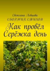 Как провёл Серёжка день - Светлана Левшова