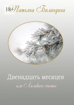 Двенадцать месяцев, или Лилькино счастье, аудиокнига Татьяны Викторовны Баландиной. ISDN70847245