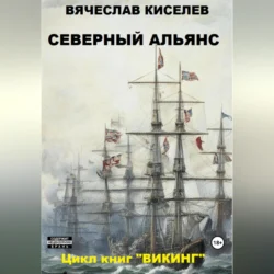 Викинг. Книга 3. Северный Альянс, аудиокнига Вячеслава Киселева. ISDN70848475