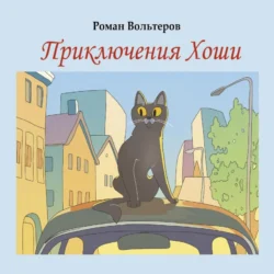 Приключения Хоши, audiobook Романа Вольтерова. ISDN70849282