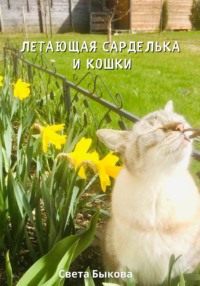 Летающая сарделька и кошки, аудиокнига Светы Быковой. ISDN70851781