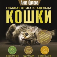 Главная книга владельца кошки, аудиокнига Анны Орловой. ISDN70852507