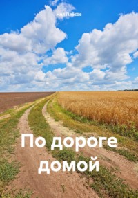 По дороге домой - Нил Плёсов