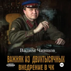 Важняк из двухтысячных. Внедрение в ЧК - Вадим Чинцов