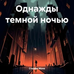 Однажды темной ночью, audiobook Стеффи Моне. ISDN70854346