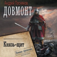 Князь-щит - Андрей Посняков