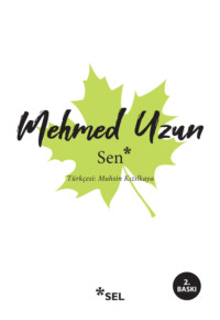 Sen, Mehmed Uzun аудиокнига. ISDN70857061