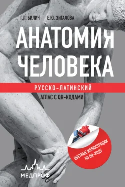 Анатомия человека. Русско-латинский атлас с QR-кодами, audiobook Г. Л. Билича. ISDN70860673