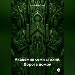 Академия семи стихий. Дорога домой, аудиокнига Александры Клэй. ISDN70870850