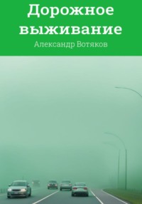 Дорожное выживание - Александр Вотяков