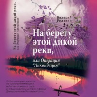 На берегу этой дикой реки, или Операция «Ликвидация», аудиокнига Валерия Редькина. ISDN70873739