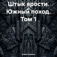 Штык ярости. Южный поход. Том 1 - Алим Тыналин