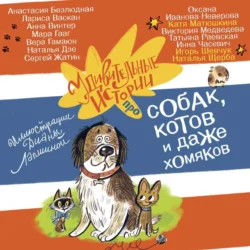 Удивительные истории про собак, котов и даже хомяков, аудиокнига Натальи Щербы. ISDN70874414