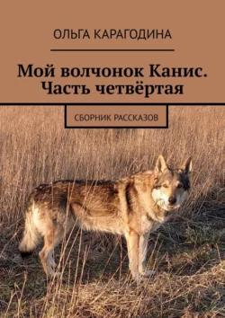 Мой волчонок Канис. Часть четвёртая. Сборник рассказов, аудиокнига Ольги Карагодиной. ISDN70876415