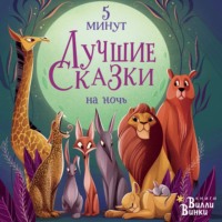 Лучшие сказки на ночь. 5 минут, audiobook Анны Ланг. ISDN70881097