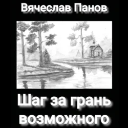 Шаг за грань возможного - Вячеслав Панов