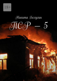 ПСР – 5, audiobook Никиты Белугина. ISDN70897183