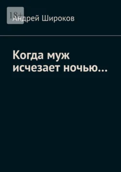 Когда муж исчезает ночью…, аудиокнига Андрея Широкова. ISDN70897477