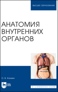 Анатомия внутренних органов. Учебное пособие для вузов - Олег Калмин