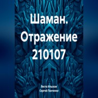 Шаман. Отражение 210107, аудиокнига Весты Ильской. ISDN70907122