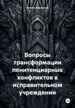 Вопросы трансформации пенитенциарных конфликтов в исправительном учреждении - Никита Емельянов