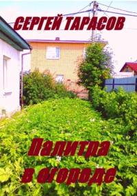 Палитра в огороде, аудиокнига Сергея Тарасова. ISDN70912411