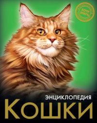 Кошки, audiobook Леси Калугиной. ISDN70913740