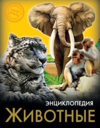 Животные, audiobook Ярославы Соколовой. ISDN70913743