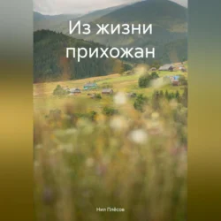 Из жизни прихожан - Нил Плёсов