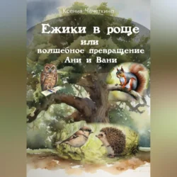 Ежики в роще или волшебное превращение Ани и Вани, аудиокнига Ксении Вадимовны Чечеткиной. ISDN70917142