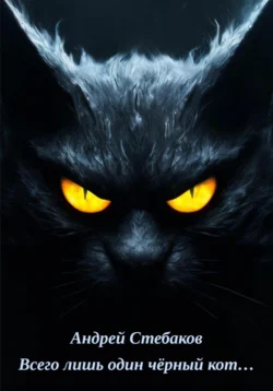 Всего лишь один чёрный кот… - Андрей Стебаков
