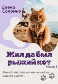 Жил да был рыжий кот, audiobook Елены Соломко. ISDN70920676