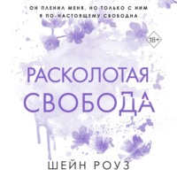 Расколотая свобода, аудиокнига Шейн Роуз. ISDN70932919