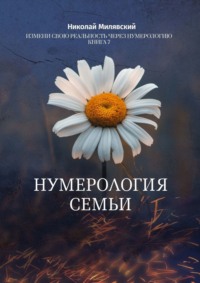 Нумерология Семьи. Измени свою реальность через нумерологию. Книга 7, audiobook Николая Милявского. ISDN70936210